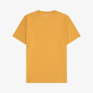 Agnar T-shirt Herr Ekologisk & Regenerativ GOTS Amber Gold