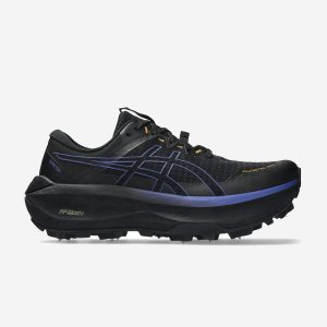 Asics Fujisetsu Max GORE-TEX Herr