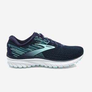 Brooks Defyance 12 Dam