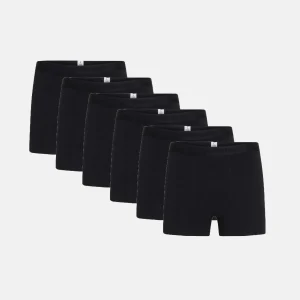 Maple Black 6-pack -  KNOWLEDGE COTTON APPAREL