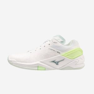 Mizuno Wave Stealth Neo Dam